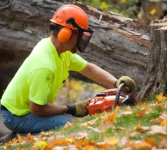 tree services Owensville